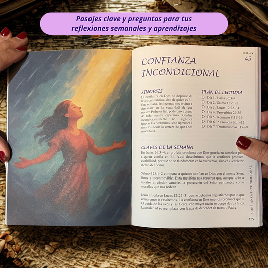 Un Maravilloso Año en La Biblia