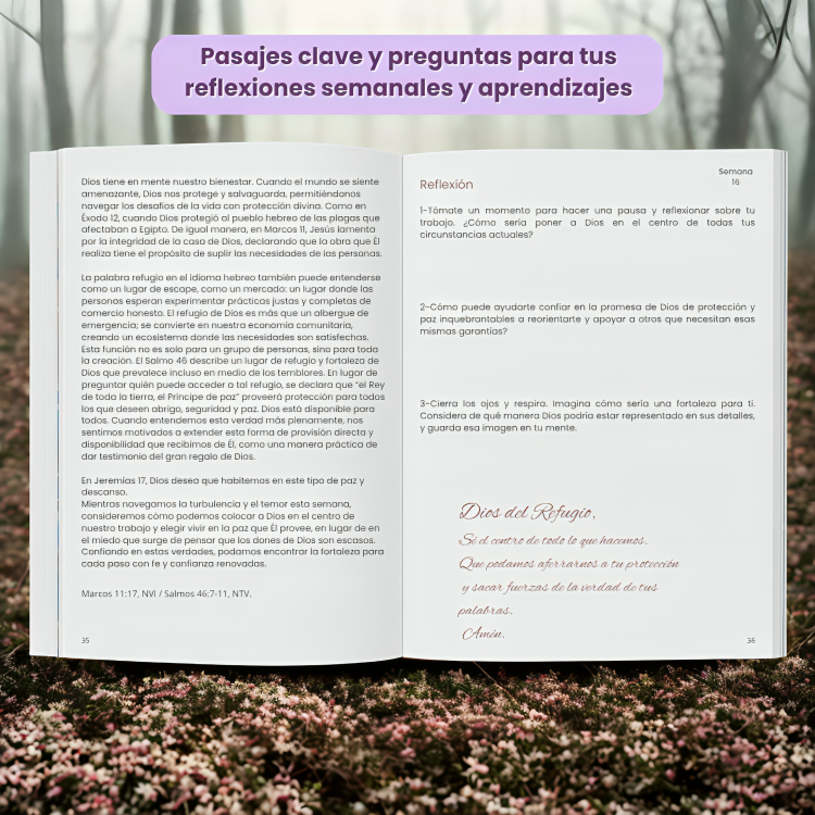 Un Maravilloso Año en La Biblia