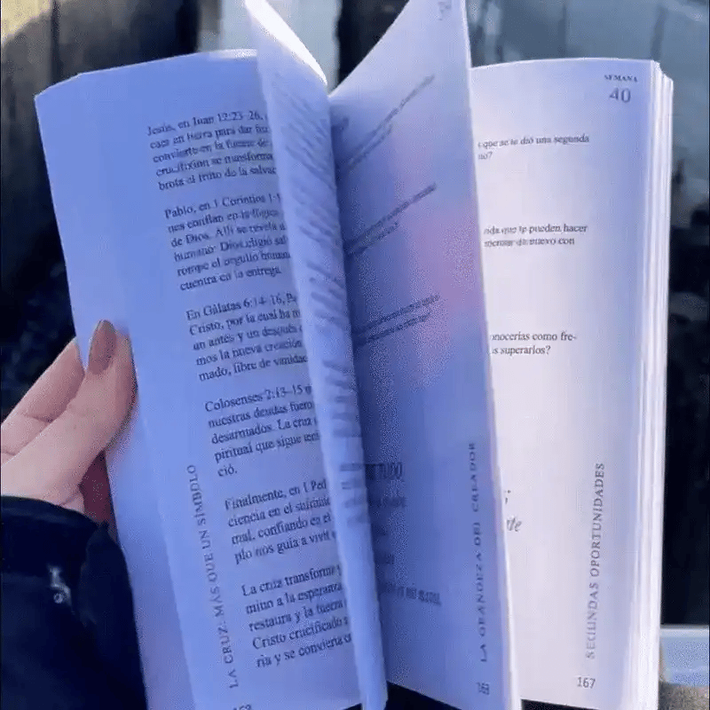 Un Maravilloso Año en La Biblia